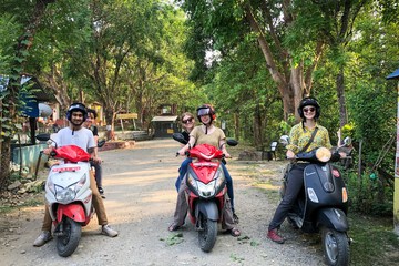 Scooter/moped