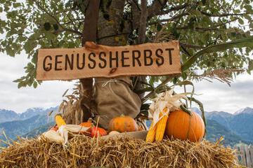 Photo 35