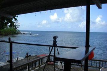 Beach or Ocean View