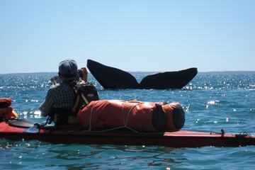 Kayaking