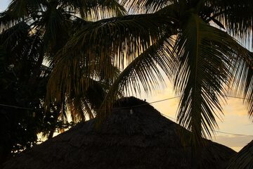 Beach bar