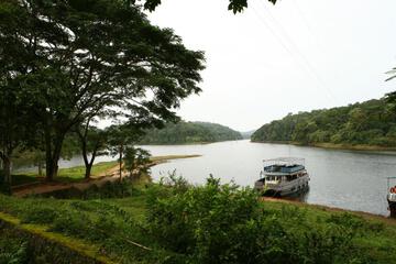Photo 42