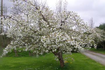 Photo 49