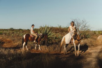 Horseback riding