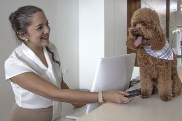 Pet-friendly