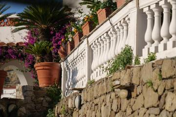 Photo 44