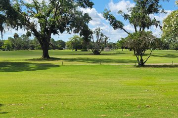 Golf view