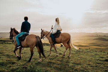 Horseback riding