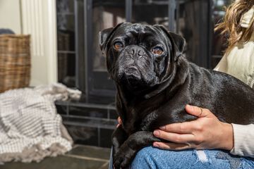 Hotel Interior 26 of 78