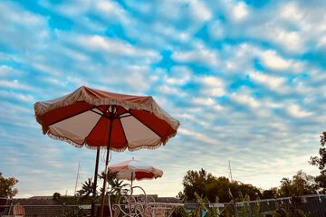 Terrace/Patio 54 of 58