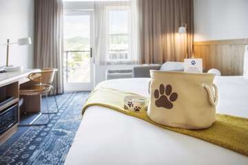 Pet Friendly 52 of 56