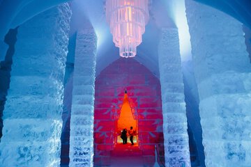 Check-in/check-out kiosk