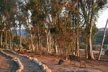 Property Grounds 80 of 81