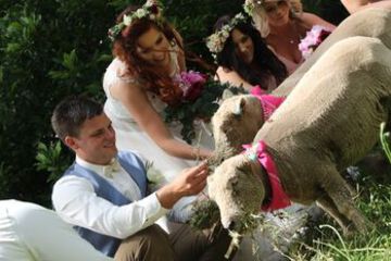 Outdoor Wedding Area