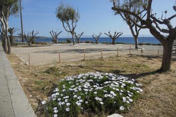 Photo 45