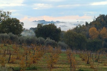 Land view from property