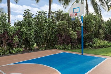 Basketball court