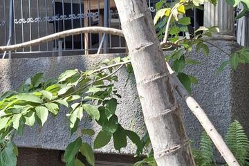 Photo 35