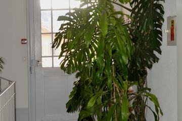 Lanai