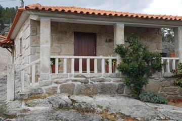 Photo 45