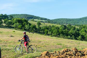 Bicycling