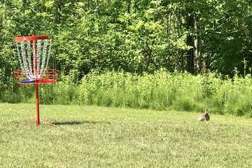 Children's play area - outdoor