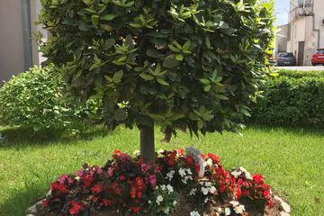 Photo 20