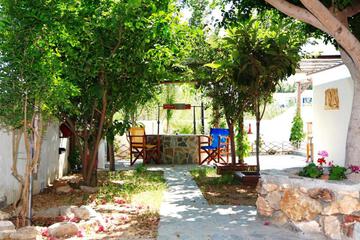 Photo 43