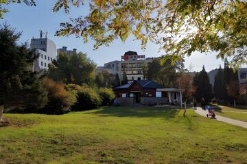 Photo 13