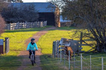 Bicycling
