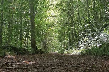 Hiking
