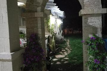 Photo 43