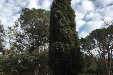 Photo 25