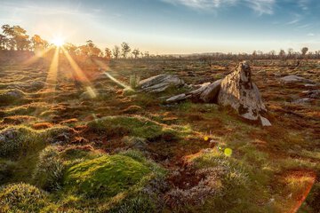 Land view from property