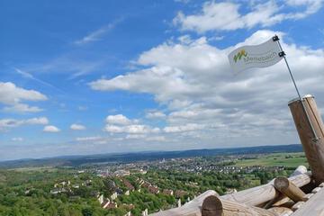 Photo 41