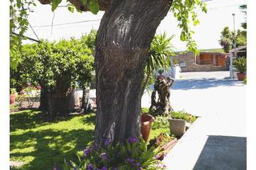 Photo 54