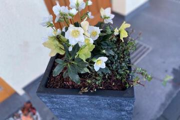 Photo 24