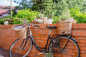 Bicycling