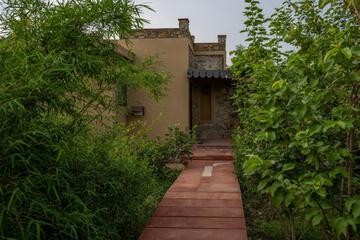 Photo 41