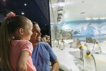 Children's activities