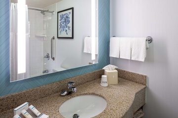 Bathroom shower