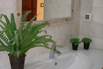 Bathroom sink