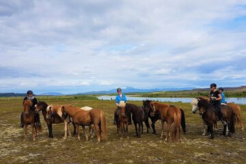 Horseback riding