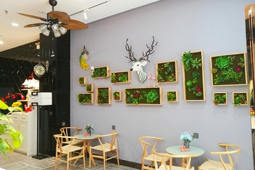 Hotel Interior or Public Areas
