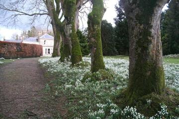 Photo 41