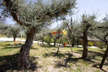 Photo 50