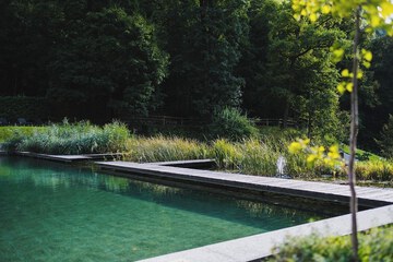 Natural pool