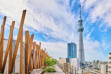 Rooftop terrace