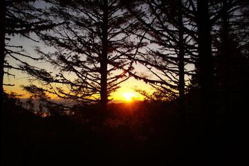 Photo 49