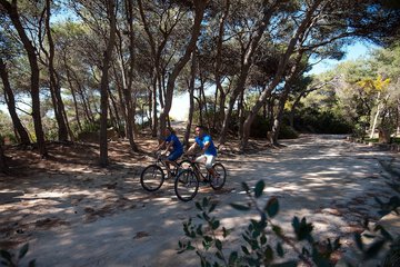 Bicycling
